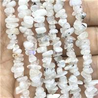 White Moonstone Chip Beads Freeform, approx 5-8mm, 32inch length [GB14723]