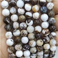 American Wooden Petrified Beads Smooth Round, approx 8mm dia [GB17616-8MM]