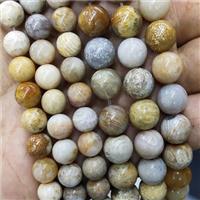 Natural Yellow Coral Fossil Beads Chrysanthemum Jasper Smooth Round, approx 10mm [GB18329-10MM]