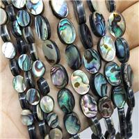 Abalone Shell Oval Beads Multicolor, approx 10x14mm [GB20160-10X14MM]