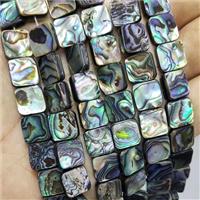 Abalone Shell Square Beads Multicolor, approx 10mm [GB20165-10MM]