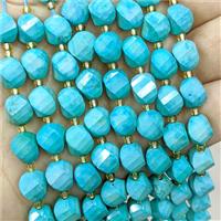 Magnesite Turquoise Twist Beads S-Shape Faceted Teal Dye, approx 9-10mm [GB20652]