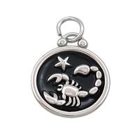 Raw Stainless Steel Scorpio Zodiac Charms Pendant Circle Black Enamel, approx 17mm dia [SSB3469]