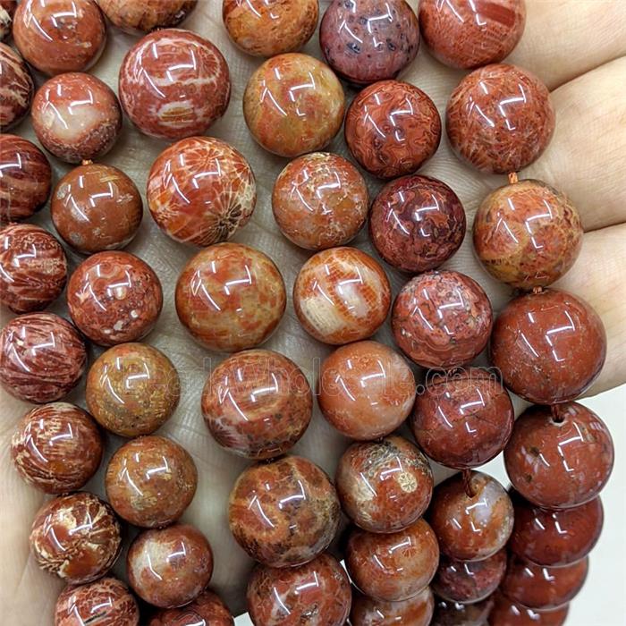 Red Coral Fossil Beads Smooth Round