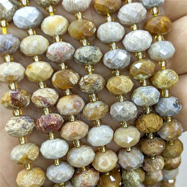 Natural Coral Fossil Beads Yellow Faceted Rondelle