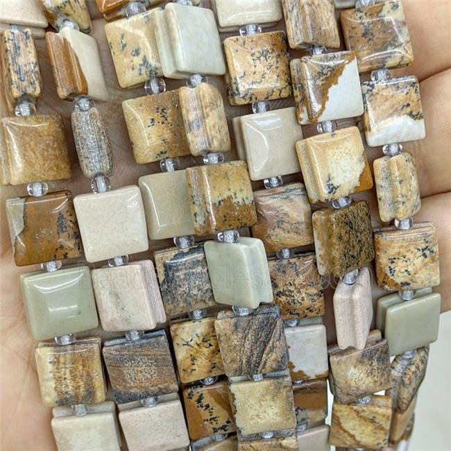 Natural Picture Jasper Square Beads