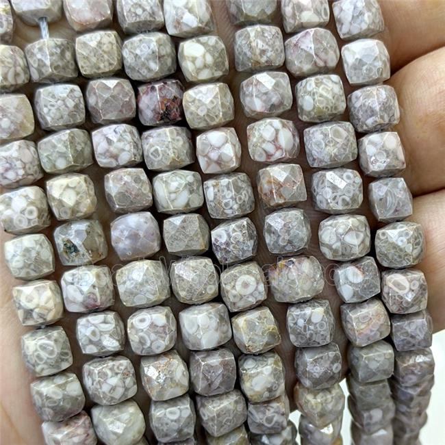 Ammonite Fossil Beads Faceted Cube