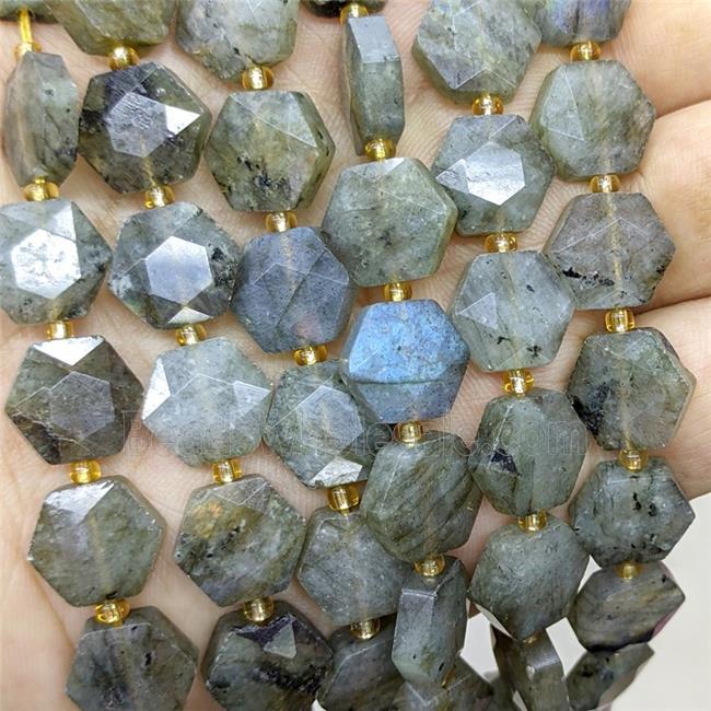 Natural Labradorite Hexagon Beads