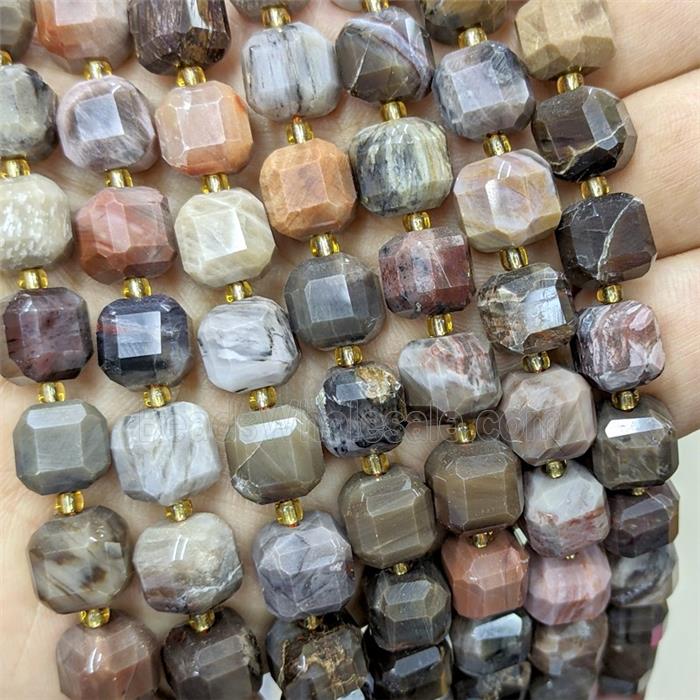 Natural Wood Petrified Jasper Beads Faceted Cube Multicolor