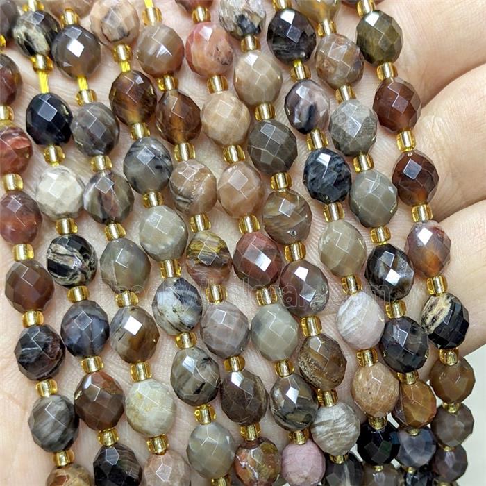 Natural Wood Petrified Jasper Beads Faceted Rice
