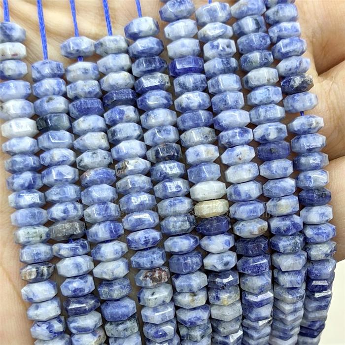 Natural Blue Dalmatian Jasper Hexagon Beads