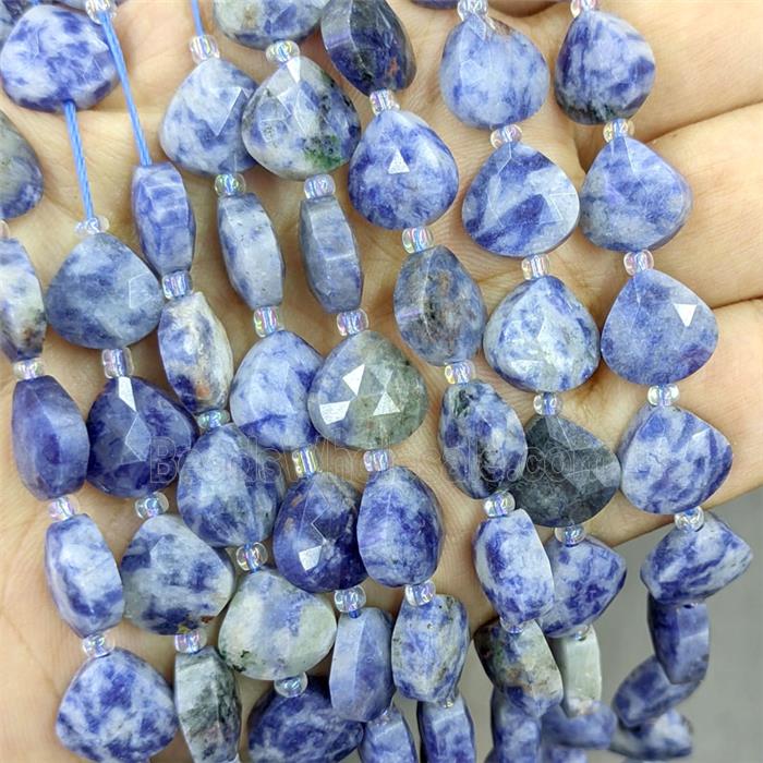 Blue Dalmatian Jasper Triangle Beads Faceted