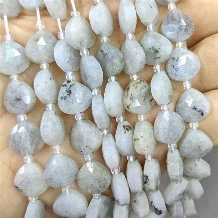 Gray Labradorite Triangle Beads Faceted