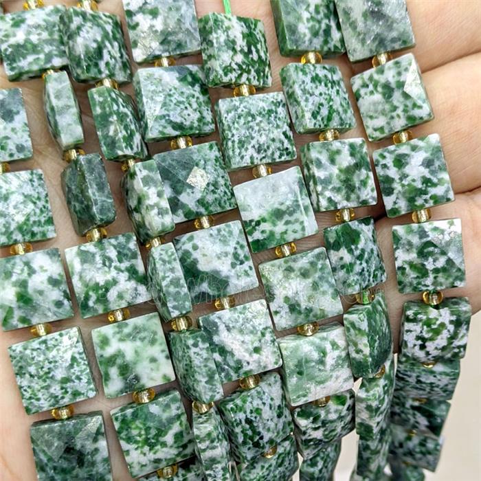 Green Dalmatian Jasper Square Beads Faceted
