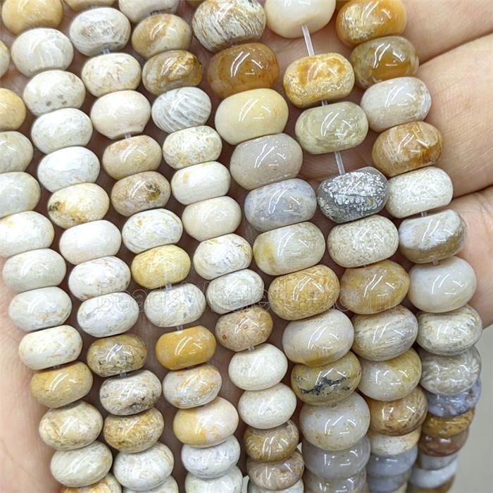 Natural Coral Fossil Beads Yellow Smooth Rondelle