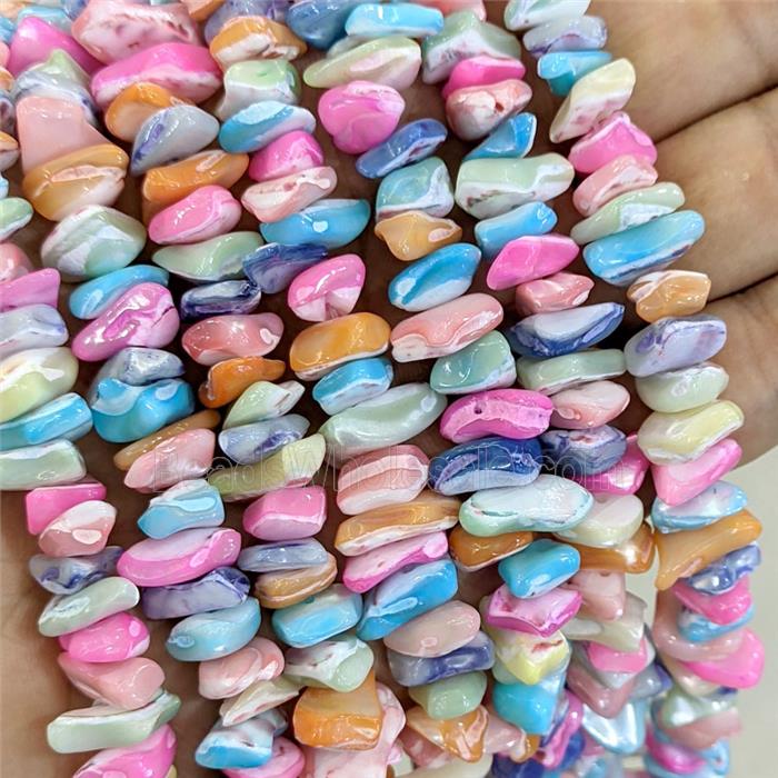 Freshwater Shell Beads Freeform Mixed Color Dye