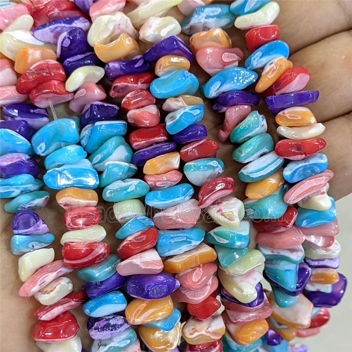 Freshwater Shell Chips Beads Freeform Mixed Color Dye