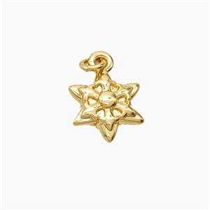 Copper Star Pendant Gold Plated, approx 9mm [FD24100]