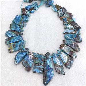 Blue Crazy Lace Agate Slice Beads Freeform Graduated Topdrilled Dye, approx 15-60mm [GA3781]
