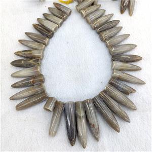 Natural Bamboo Shoot Fossil Bullet Beads Topdrilled Graduated, approx 12-55mm [GA3797]
