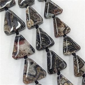 Natural Mexican Crazy Lace Agate Triangle Beads Black Dye, approx 20-30mm [GA4107]