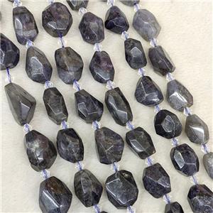 Natural Iolite Nugget Beads Faceted Freeform Inkblue, approx 12-20mm [GB23199]