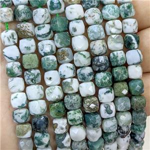 Natural Green Tree Agate Beads Faceted Cube, approx 6-8mm [GB23428]