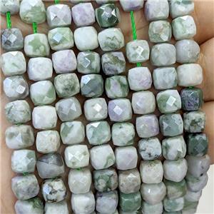 Natural Green Peace Jasper Beads Faceted Cube, approx 6-8mm [GB23437]