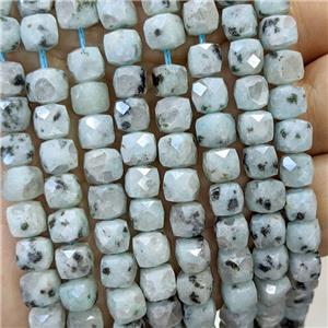 Natural Kiwi Jasper Beads Faceted Cube, approx 6-8mm [GB23450]