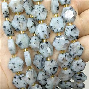 Natural Kiwi Jasper Hexagon Beads Faceted, approx 12mm [GB23472]