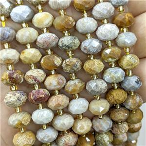 Natural Coral Fossil Beads Yellow Faceted Rondelle, approx 6-10mm [GB23517]