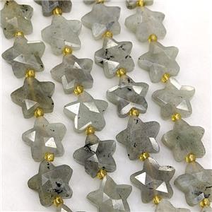 Natural Labradorite Star Beads Faceted, approx 14mm [GB23579]