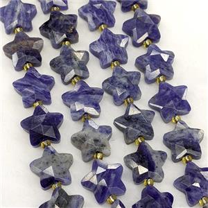 Natural Blue Sodalite Star Beads Faceted, approx 14mm [GB23581]