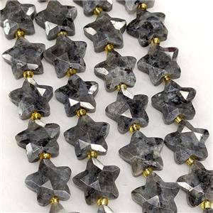 Natural Black Labradorite Star Beads Faceted, approx 14mm [GB23582]