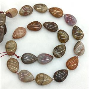 Natural Wood Petrified Jasper Teardrop Beads, approx 13-18mm [GB23717]