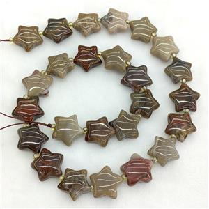 Natural Wood Petrified Jasper Star Beads, approx 15mm [GB23725]