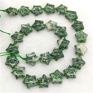 Natural Green Dalmatian Jasper Star Beads, approx 15mm [GB23730]