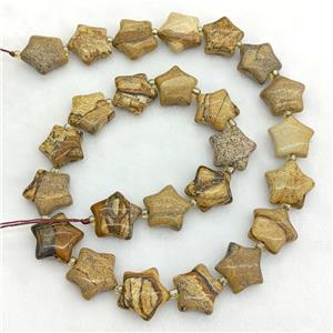 Natural Picture Jasper Star Beads, approx 15mm [GB23733]
