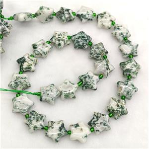 Natural Green Tree Agate Star Beads, approx 15mm [GB23735]