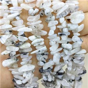 Natural White Moonstone Chips Beads Freeform Topdrilled, approx 5-16mm [GB23743]