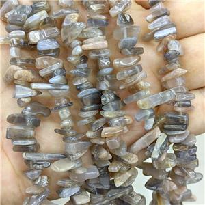 Natural Black Sunstone Chips Beads Freeform Topdrilled, approx 5-16mm [GB23744]