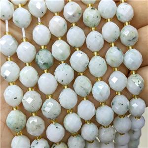 Natural Chinese Nephrite Jade Beads Lt.green Faceted Rice, approx 8-10mm [GB23800]