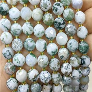 Natural Green Tree Agate Beads Faceted Rice, approx 8-10mm [GB23807]