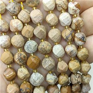 Natural Picture Jasper Twist Beads, approx 9-10mm [GB23866]