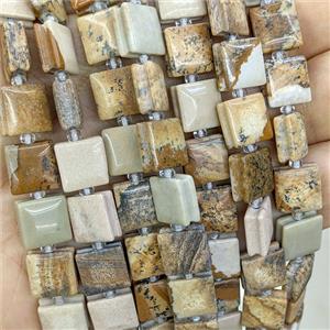 Natural Picture Jasper Square Beads, approx 10mm [GB23907]
