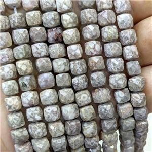 Ammonite Fossil Beads Faceted Cube, approx 6-8mm [GB23938]