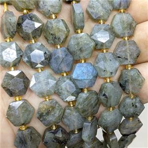 Natural Labradorite Hexagon Beads, approx 12mm [GB23992]