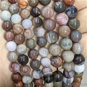 Natural Wood Petrified Jasper Beads Multicolor Smooth Round, approx 10mm [GB24319-10MM]