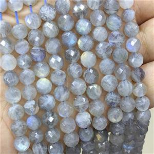 Natural Labradorite Beads Faceted Round, approx 7mm [GB24326]