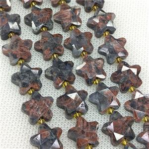 Natural Red Larvikite Labradorite Star Beads Faceted, approx 14mm [GB24355]